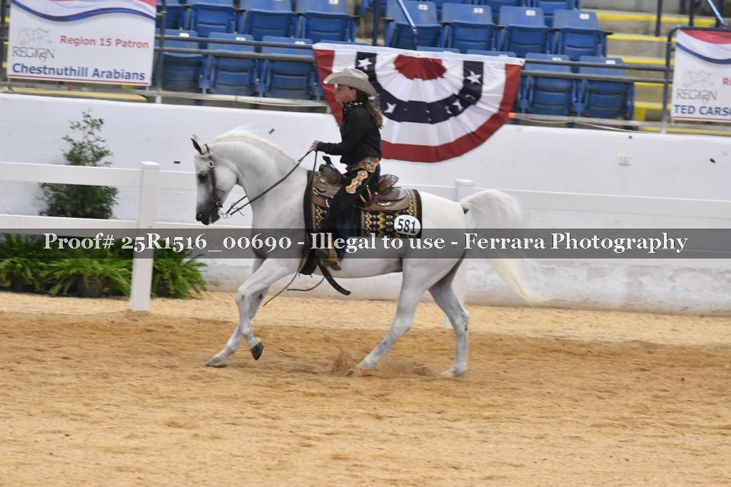 Proof Number 25R1516_00690