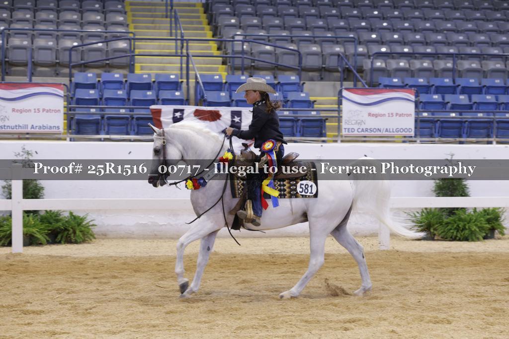 Proof Number 25R1516_00717