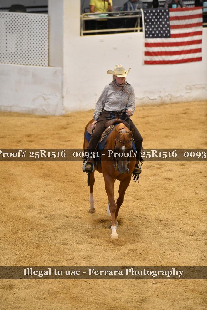 Proof Number 25R1516_00931