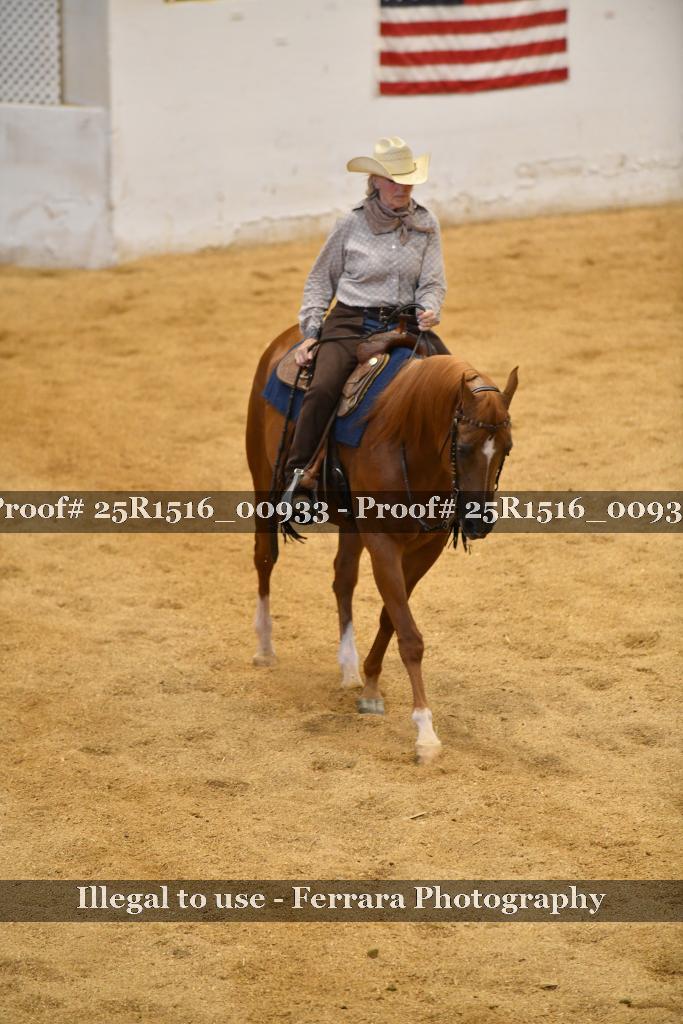 Proof Number 25R1516_00933