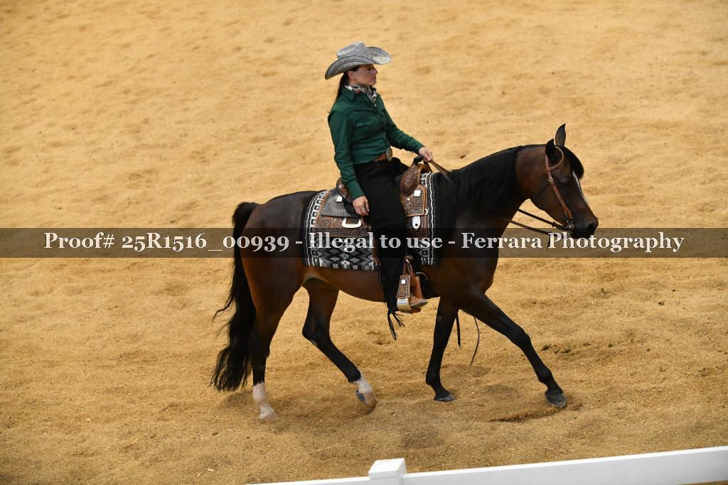 Proof Number 25R1516_00939