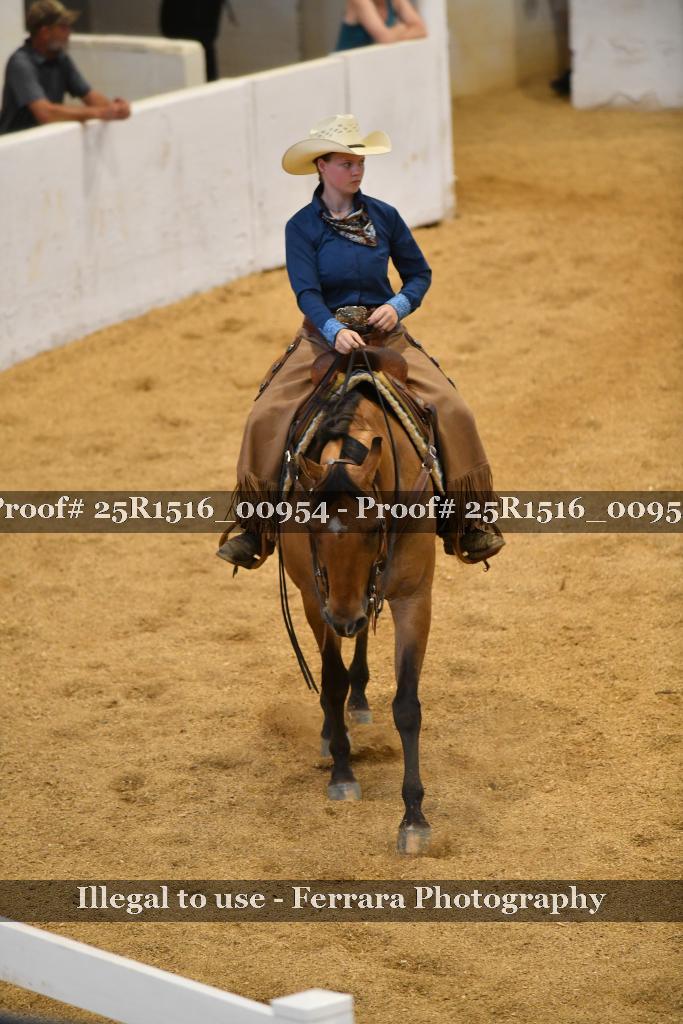 Proof Number 25R1516_00954