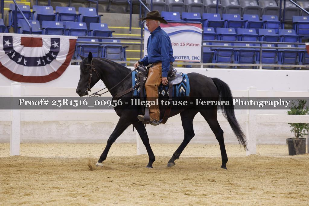 Proof Number 25R1516_00956