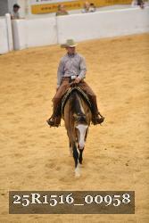 25R1516_00958 thumbnail