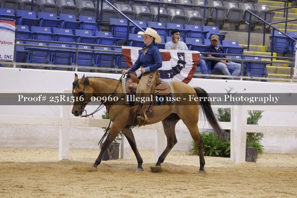 Proof Number 25R1516_00960