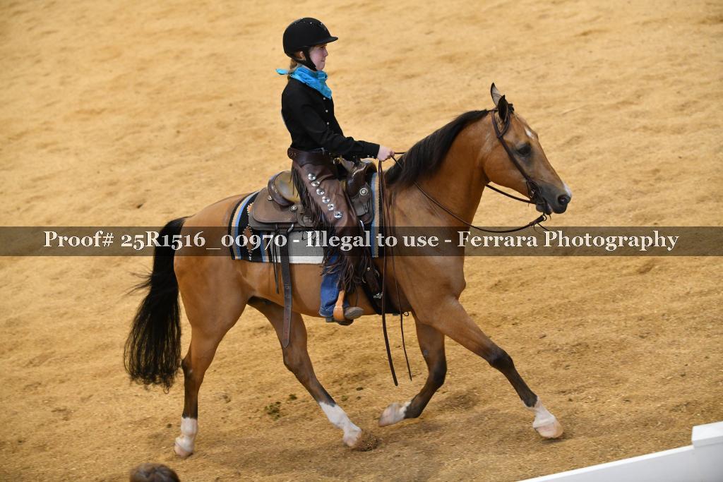 Proof Number 25R1516_00970