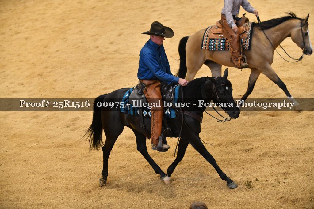 Proof Number 25R1516_00975