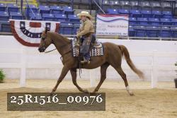 25R1516_00976 thumbnail
