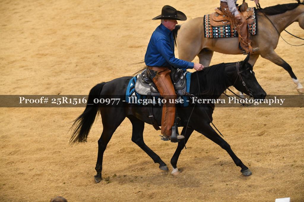 Proof Number 25R1516_00977