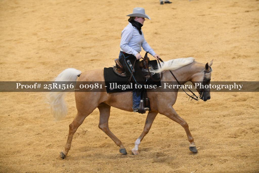 Proof Number 25R1516_00981