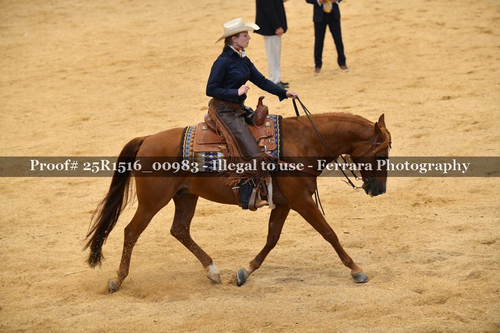 Proof Number 25R1516_00983