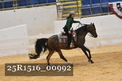25R1516_00992 thumbnail