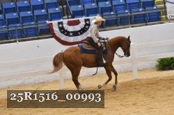 25R1516_00993 thumbnail