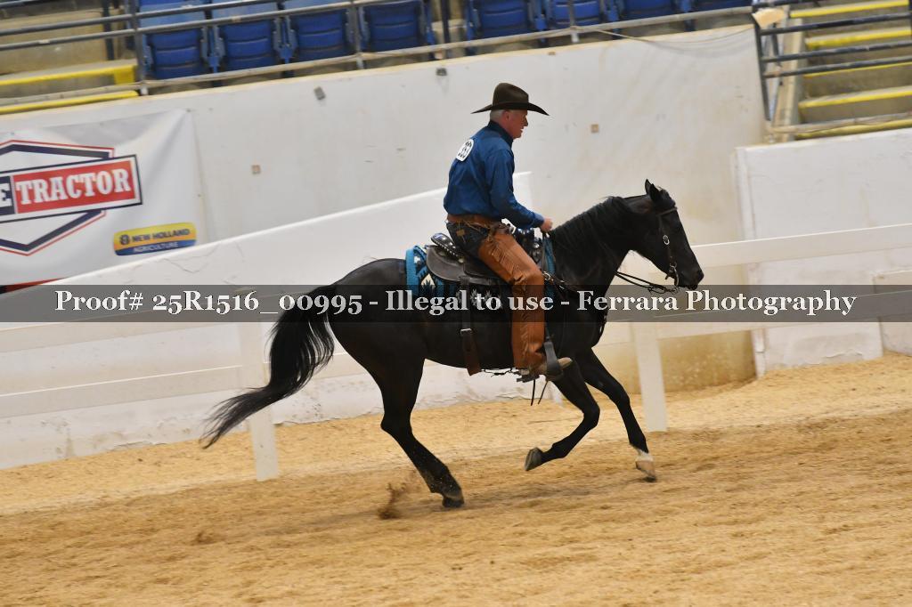 Proof Number 25R1516_00995