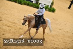 25R1516_01003 thumbnail