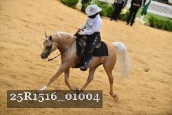 25R1516_01004 thumbnail