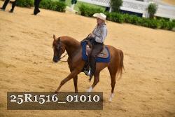 25R1516_01010 thumbnail