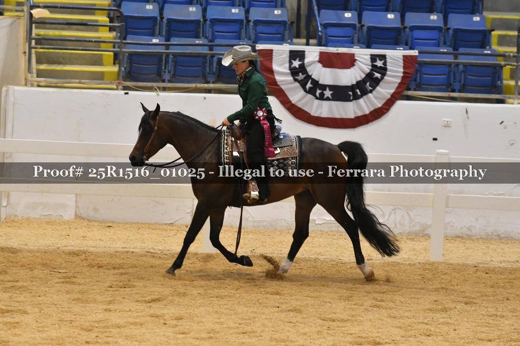 Proof Number 25R1516_01025