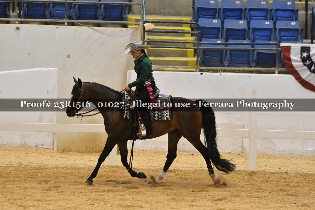 Proof Number 25R1516_01027