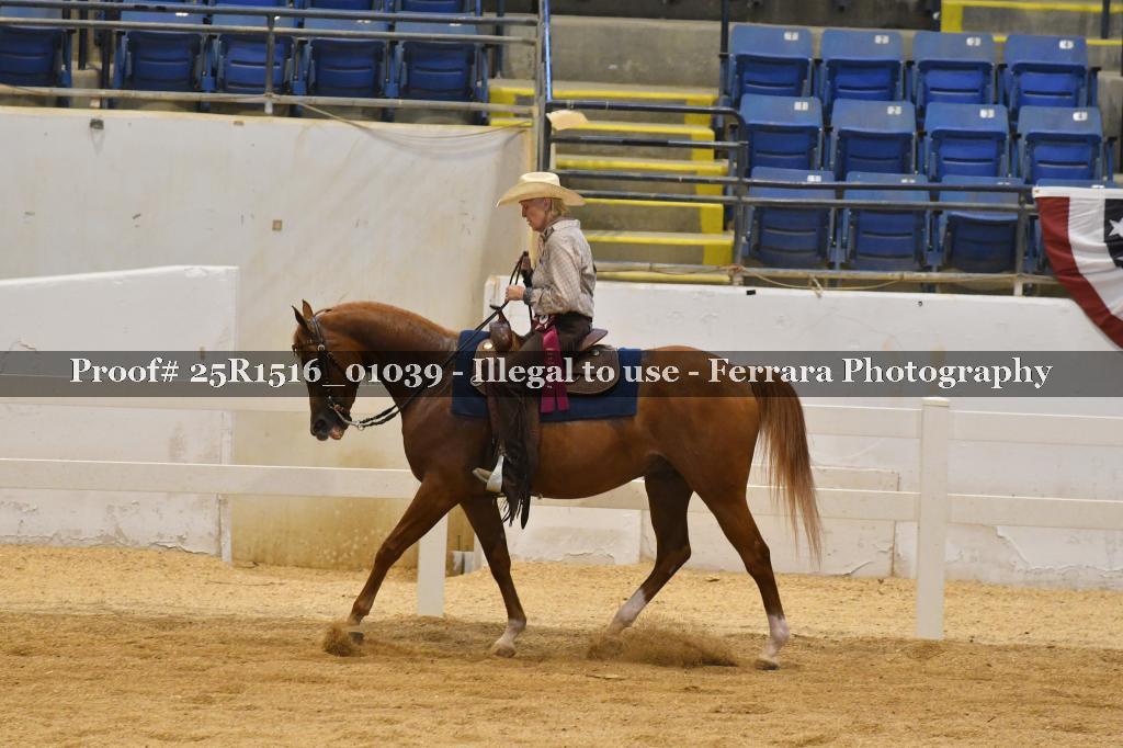 Proof Number 25R1516_01039
