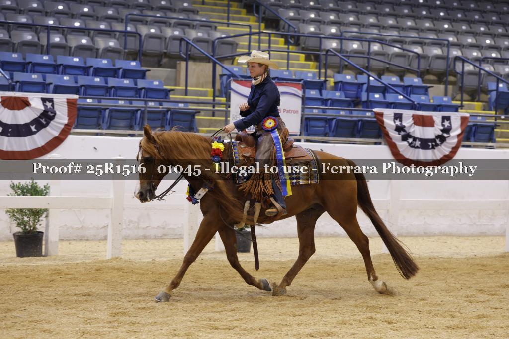 Proof Number 25R1516_01045