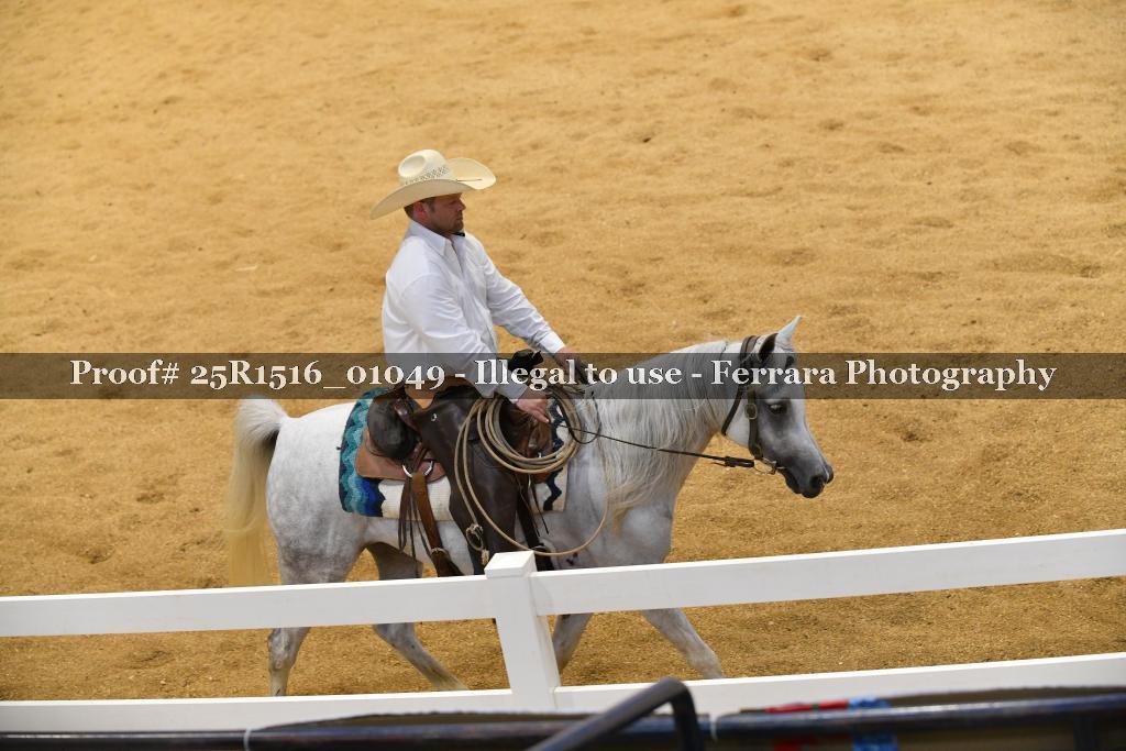 Proof Number 25R1516_01049