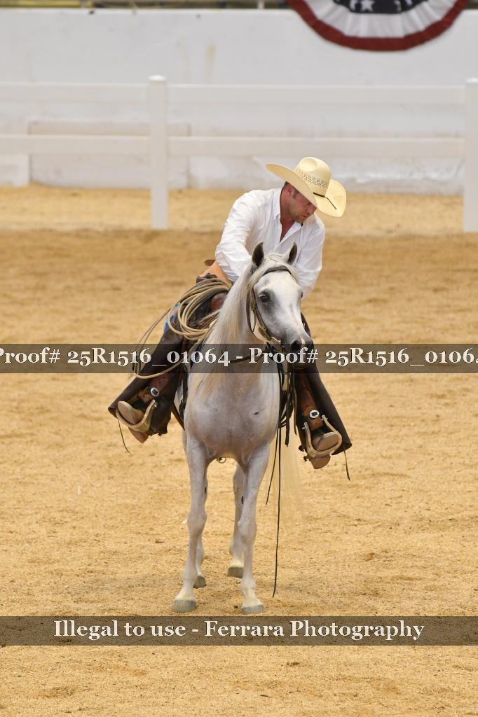 Proof Number 25R1516_01064
