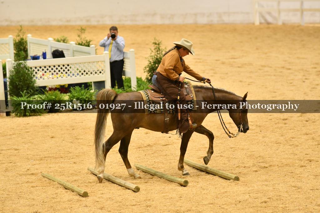 Proof Number 25R1516_01927