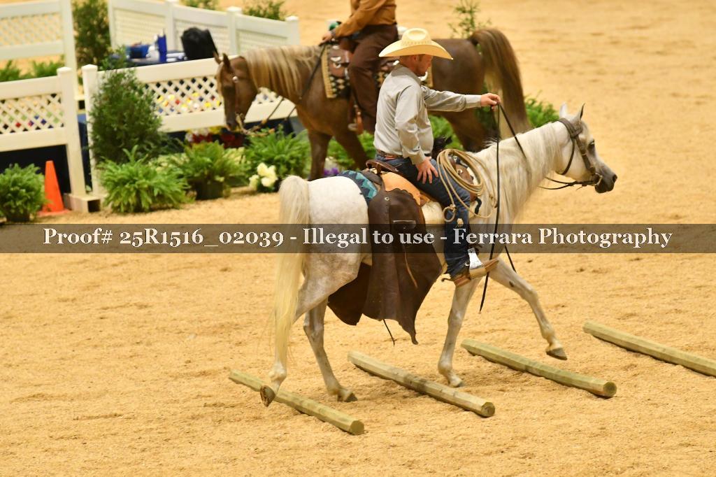 Proof Number 25R1516_02039