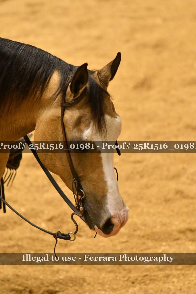 Proof Number 25R1516_01981