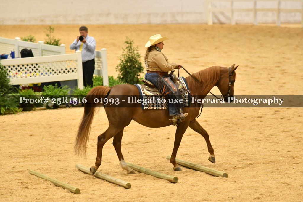 Proof Number 25R1516_01993