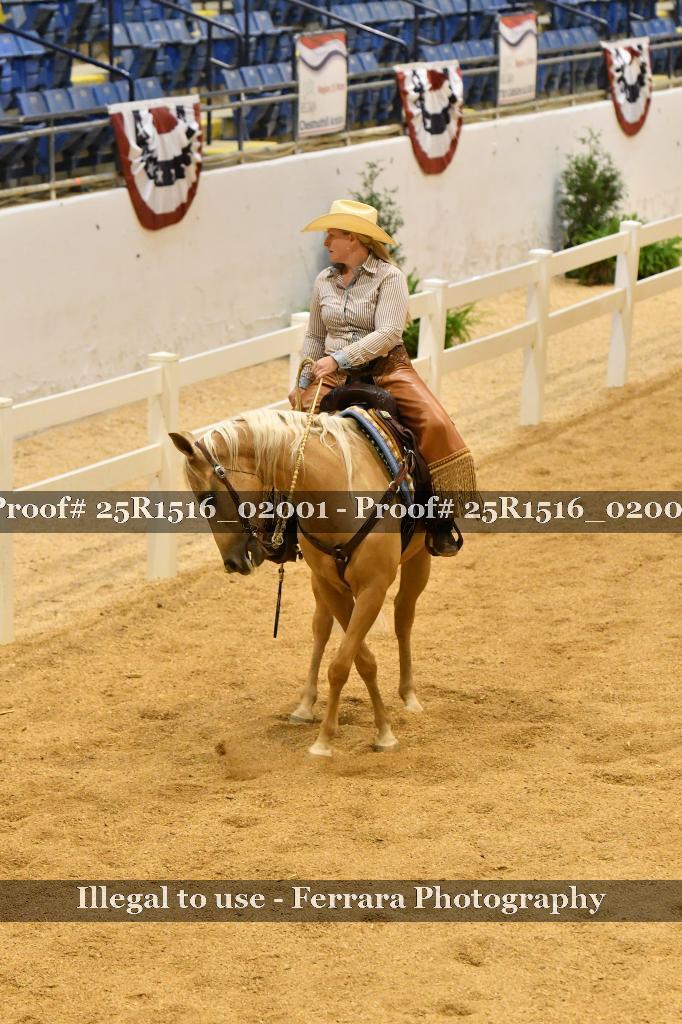 Proof Number 25R1516_02001