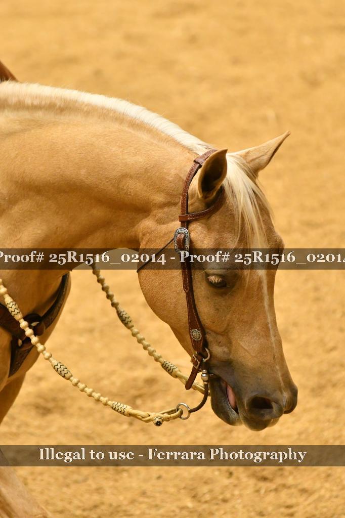 Proof Number 25R1516_02014
