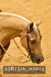25R1516_02014 thumbnail