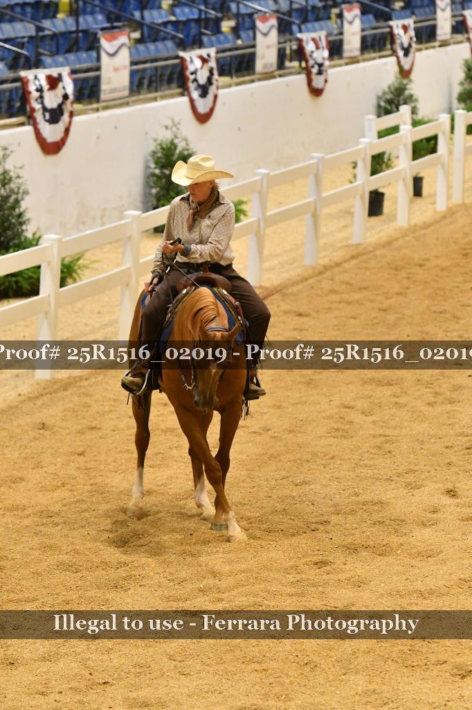 Proof Number 25R1516_02019