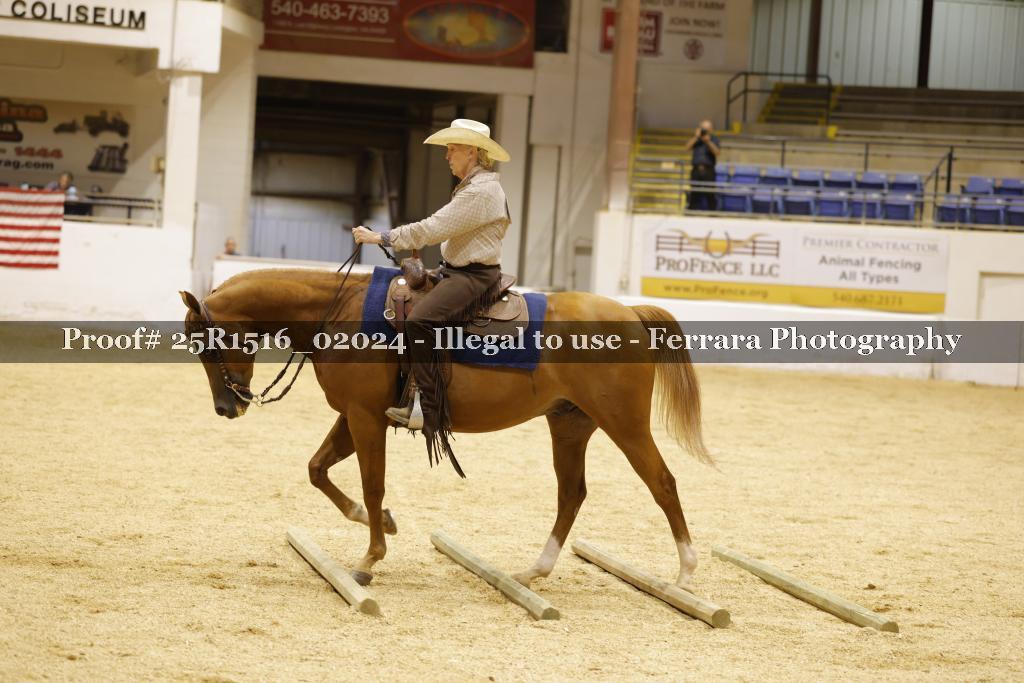 Proof Number 25R1516_02024