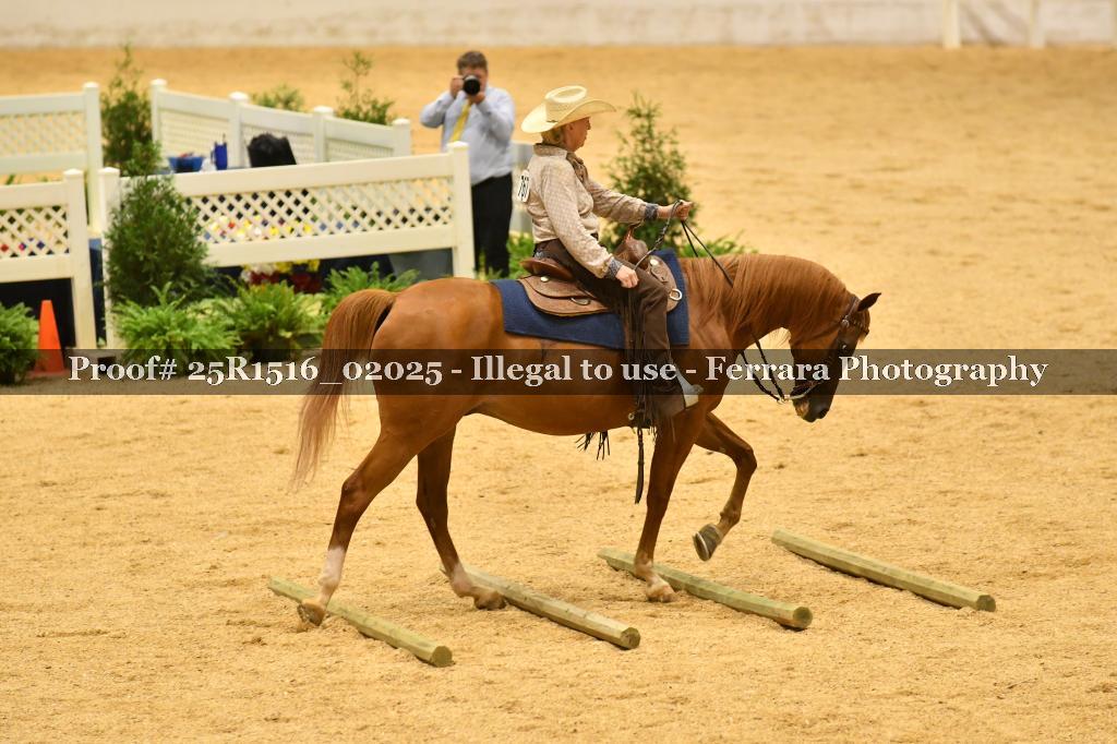 Proof Number 25R1516_02025