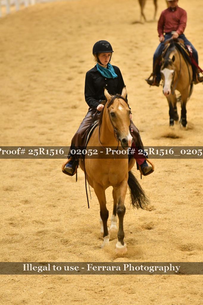 Proof Number 25R1516_02052
