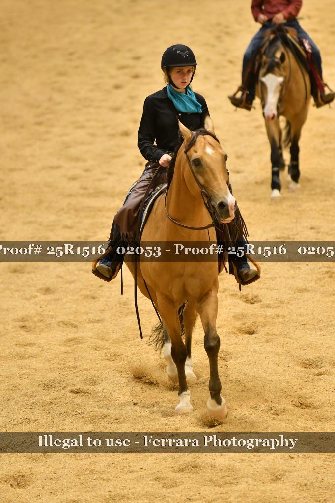 Proof Number 25R1516_02053