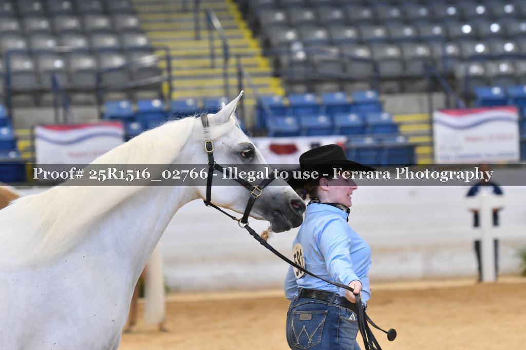 Proof Number 25R1516_02766