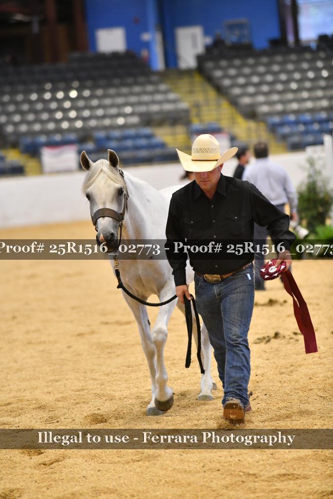 Proof Number 25R1516_02773