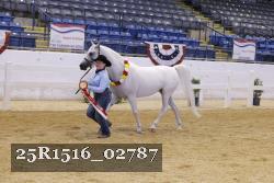 25R1516_02787 thumbnail