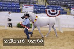25R1516_02788 thumbnail