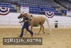 25R1516_02789 thumbnail