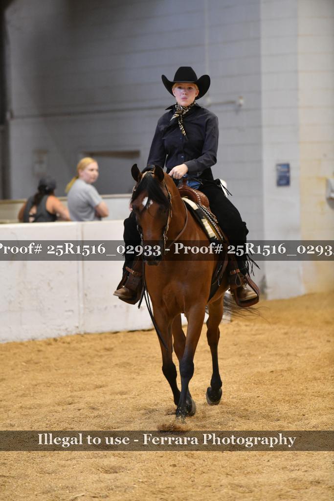 Proof Number 25R1516_02933