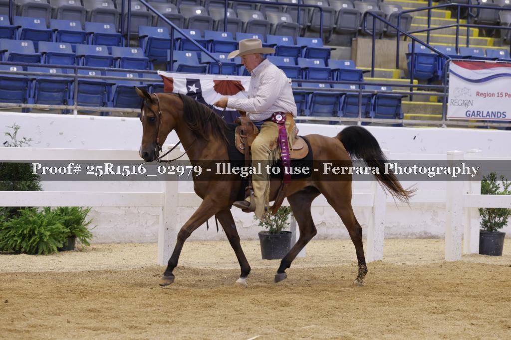 Proof Number 25R1516_02979