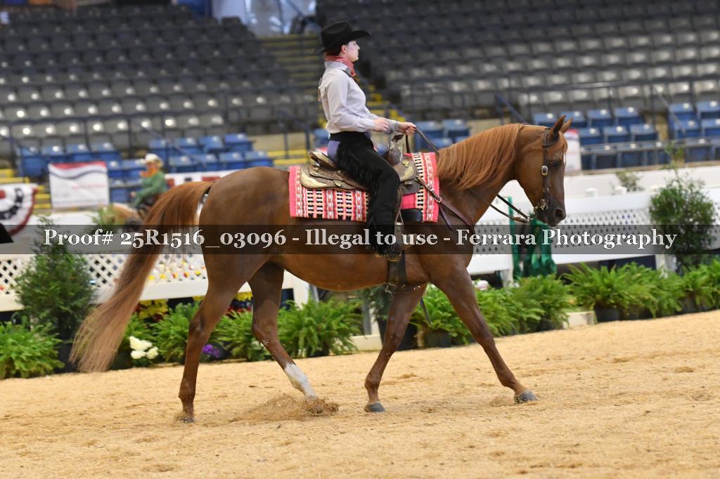 Proof Number 25R1516_03096