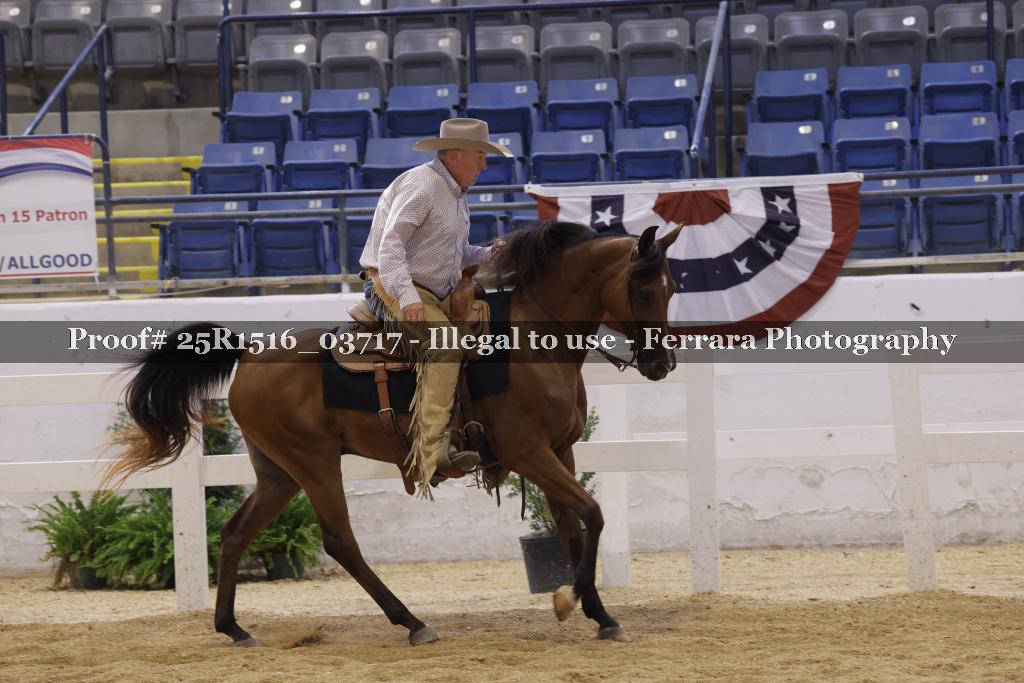 Proof Number 25R1516_03717