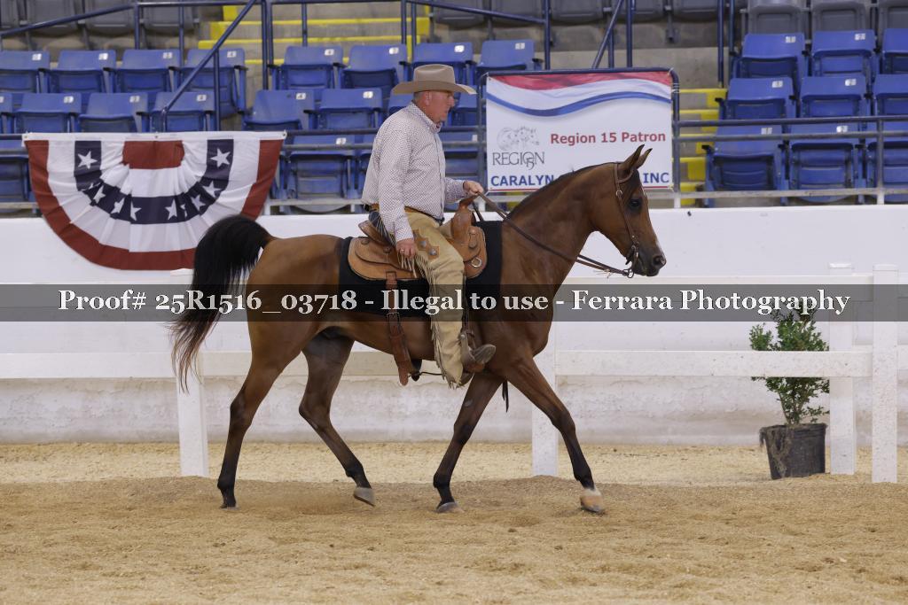 Proof Number 25R1516_03718