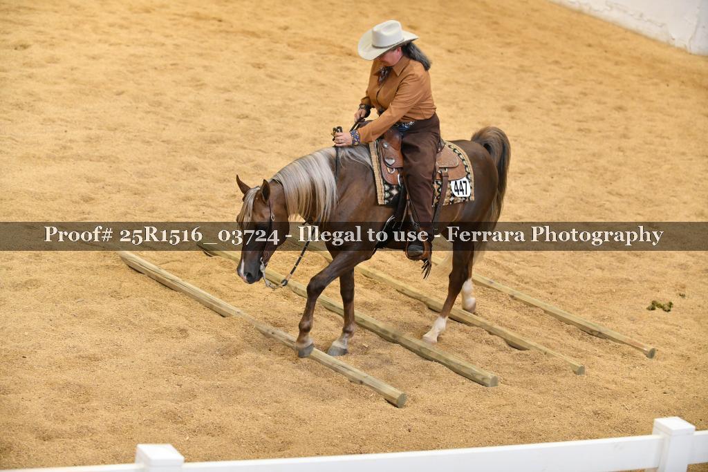 Proof Number 25R1516_03724